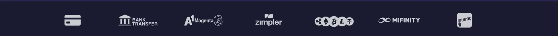 Payment methods displayed by Winoly